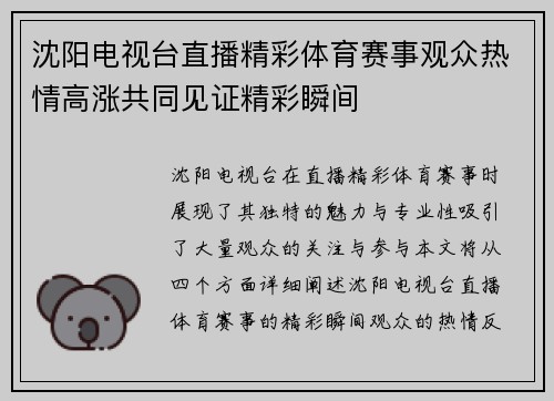 沈阳电视台直播精彩体育赛事观众热情高涨共同见证精彩瞬间